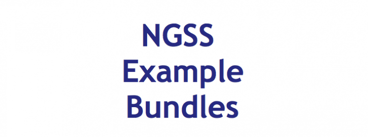 NGSS Example Bundles